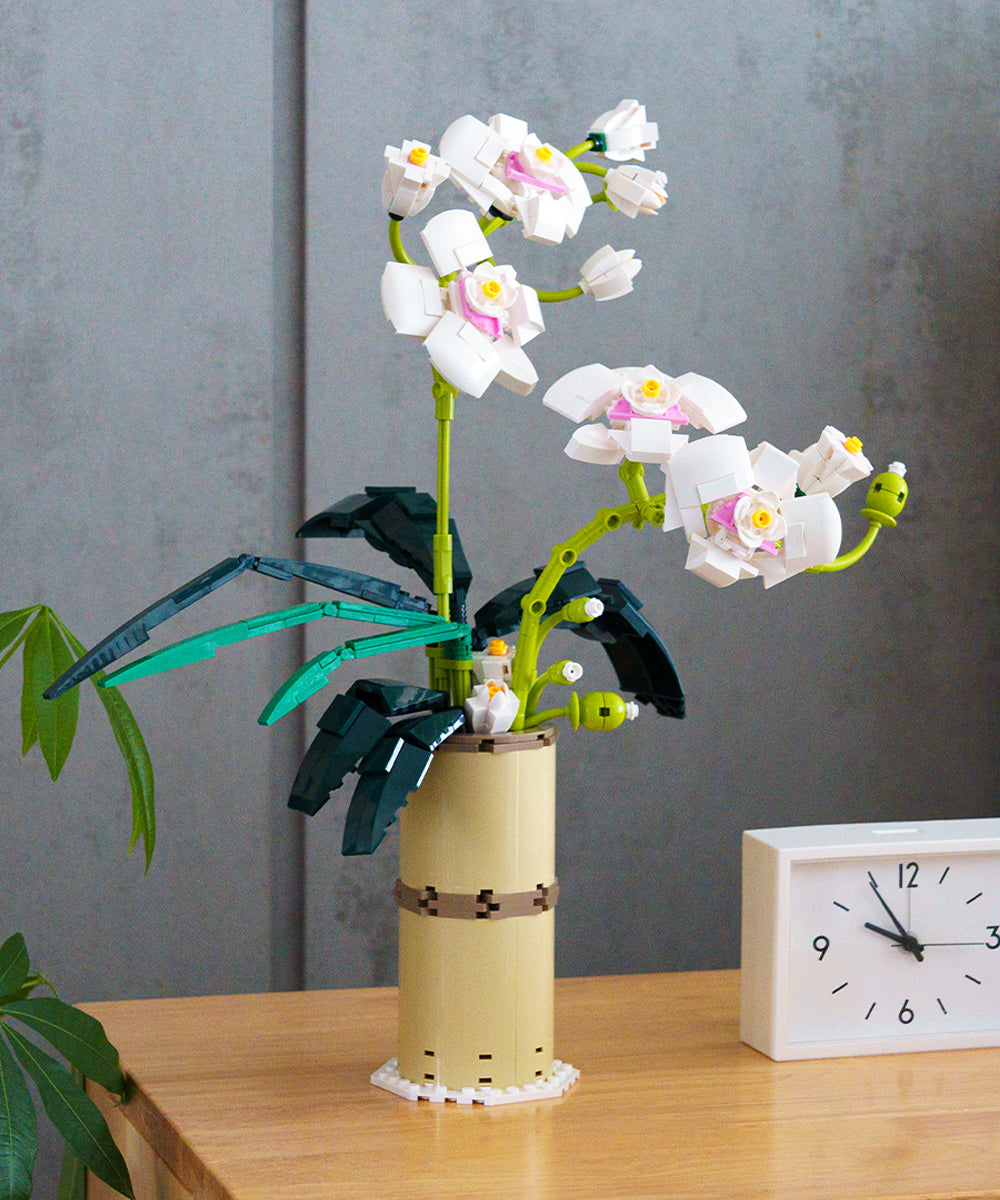 大人向けTeotoブロック